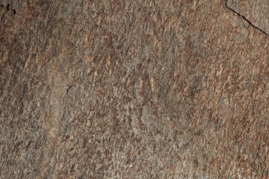 Şist aspid taşının dokusu 