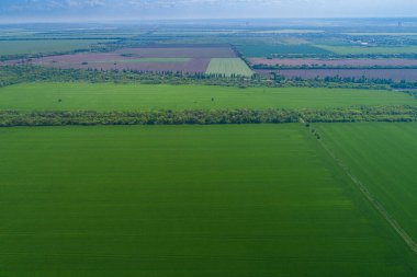 Kuş bakışı tarımsal alanlar