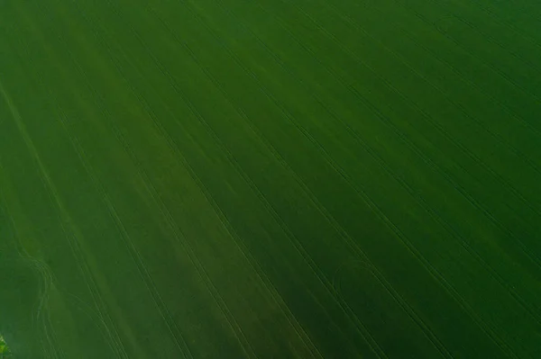 Mähdrescher Auf Der Grünen Wiese Foto Aus Der Vogelperspektive — Stockfoto