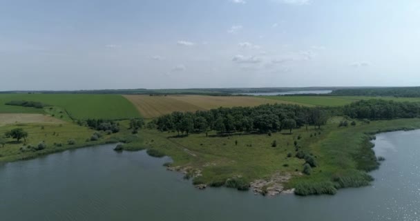 Grande Rio Largo Flui Estepe Entre Margens Arborizadas Campos Agrícolas — Vídeo de Stock