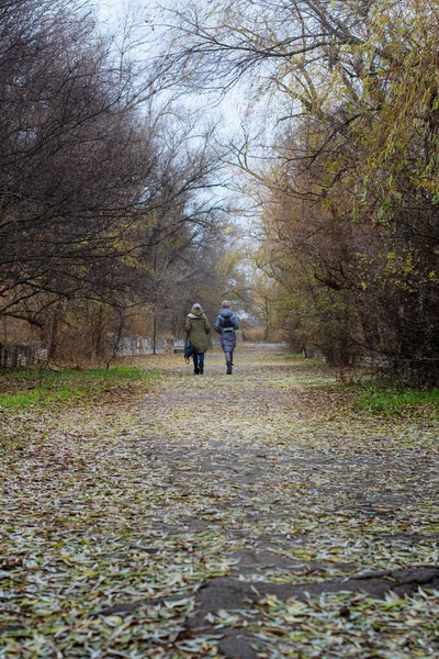 两个女孩正沿着公园的一条秋天小巷走着 巷子里撒满了落下来的黄叶 — 图库照片