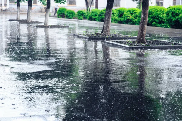 Big Rain Drops on a City Alley. Rainy autumn weather