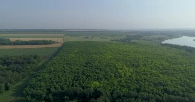 Güneşli bir yaz gününde tarım arazilerinin kuş bakışı görüntüsü. Tarlalar arasında orman şeritleri büyür.