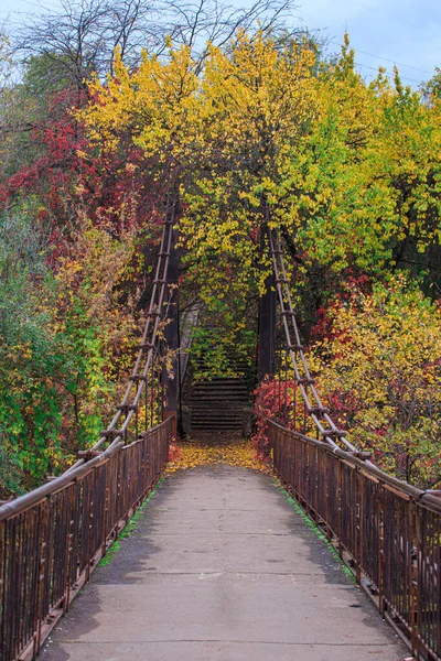 Старый Кабельный Пешеходный Мост Осенью Мост Имеет Ржавые Поручни Веревки — стоковое фото