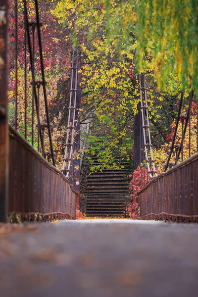 秋天的老斜拉桥 这座桥有生锈的扶手和绳索 — 图库照片