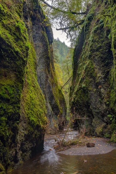 Oneonta Creek and Gorge — Stock Photo, Image