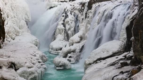 Gullfoss vattenfall på Island — Stockvideo