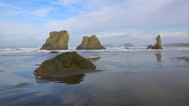 Surf en la costa del Pacífico — Vídeo de stock