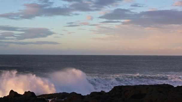 Waves breaking on black rocks in Iceland — Stock Video