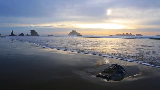 Surfa på solnedgången vid Stillahavskusten — Stockvideo