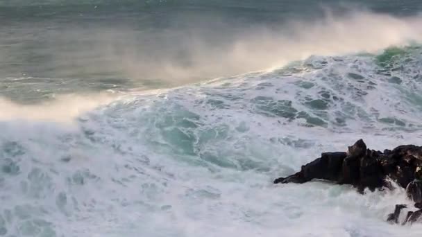 Waves breaking on black rocks in Iceland — Stock Video