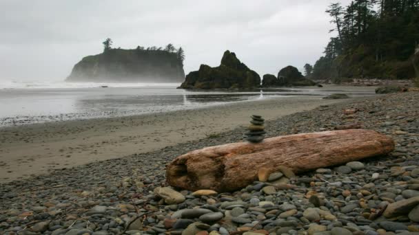 Ruby beach timelapse — Stock Video