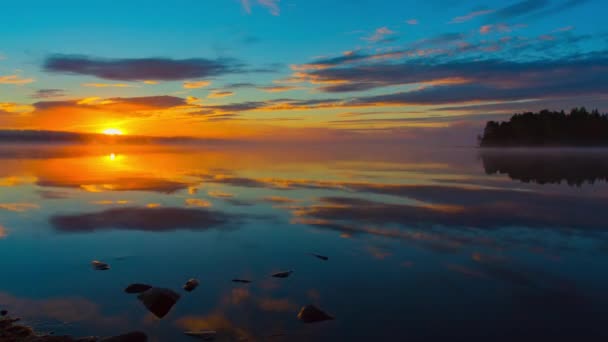 Восход солнца в лале в Финляндии — стоковое видео