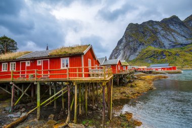 Reine balıkçı köyü, Lofoten Adaları, Norveç
