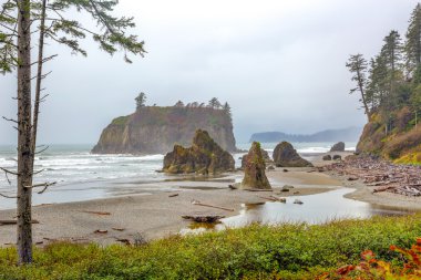 Ruby Beach, olimpik milli parkta ABD Washington eyaleti