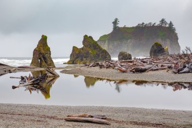 Ruby Beach, olimpik milli parkta ABD Washington eyaleti