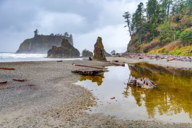 Ruby Beach, olimpik milli parkta ABD Washington eyaleti