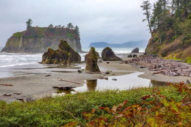 Ruby Beach, olimpik milli parkta ABD Washington eyaleti