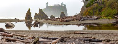 Ruby Beach, olimpik milli parkta ABD Washington eyaleti