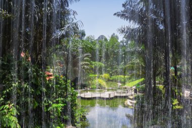 Şelale gölet görüntülemek