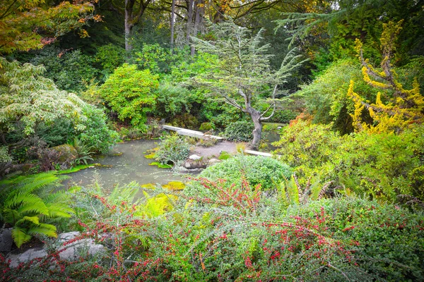 Japansk trädgård på hösten — Stockfoto