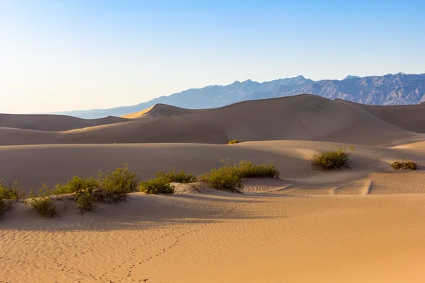 Dunas no Vale da Morte — Fotografia de Stock