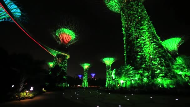 Supertree Grove show de luz no Gardens by the Bay em Cingapura — Vídeo de Stock