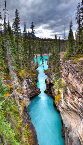 Athabasca Falls canyon