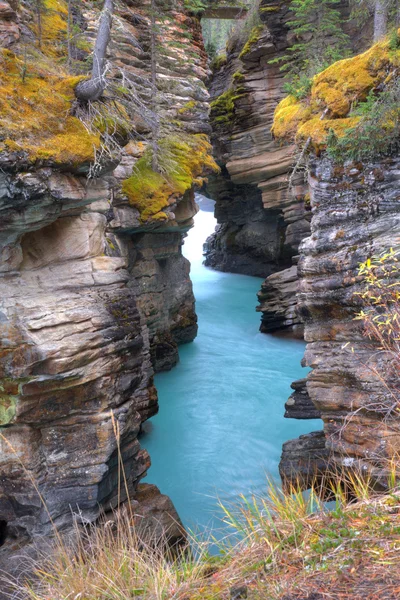 Athabasca fall canyon — Stockfoto