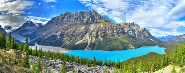 Peyto lake panorama — Stockfoto