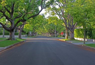 Beverly Hills Caddesi