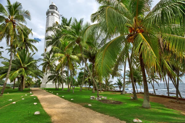 Lighthouse surrounded by palm trees — Stock Photo, Image