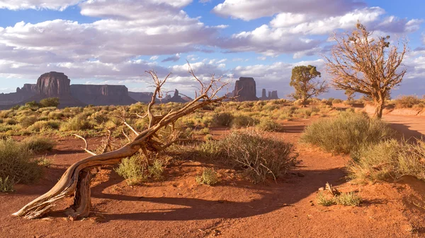 Monument Valley — Stock fotografie