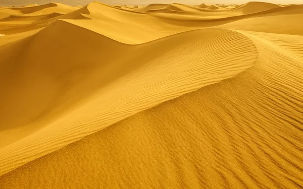 Dunas de areia — Fotografia de Stock