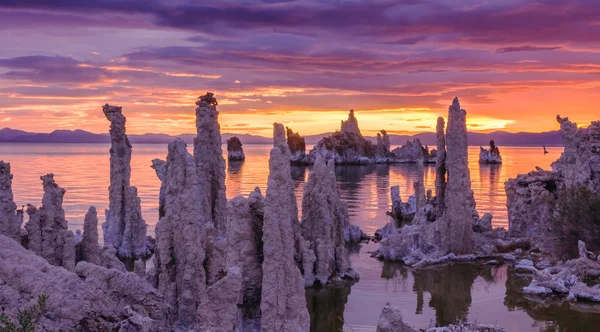 Lago Mono — Foto Stock