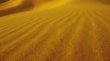 Dune kum üzerinde hareket