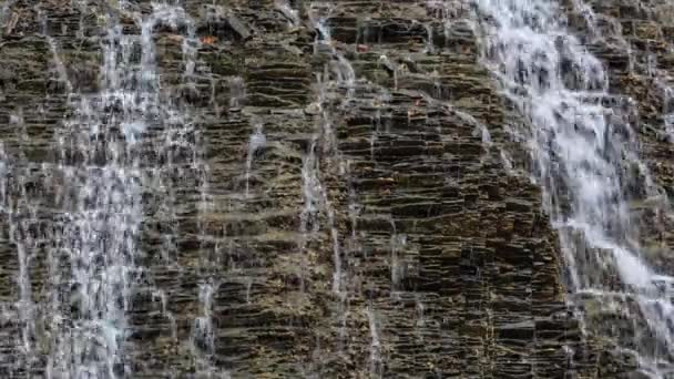 Maligne 峡谷瀑布 — 图库视频影像