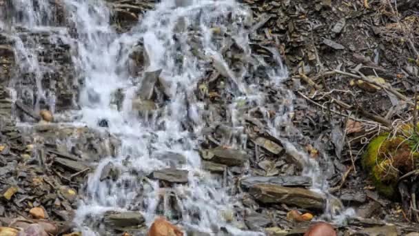 Maligne canyon waterfall — Stock Video