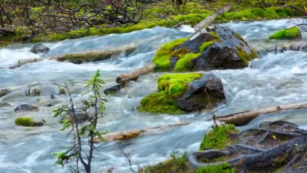 Moraine lac de admisie grecesc — Videoclip de stoc