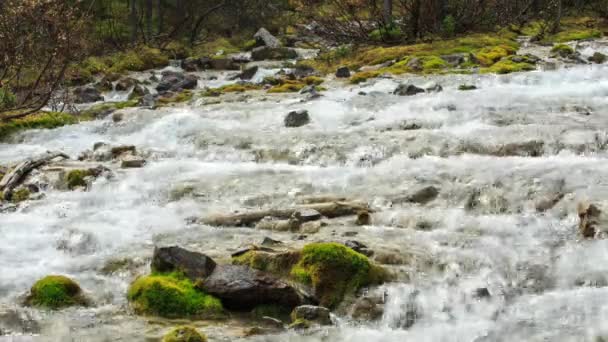 Morénové jezero vstupu Řečtina — Stock video