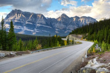 Icefield yol