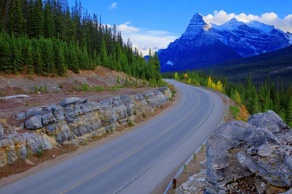 Icefield road — Stock Photo, Image