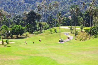 Golf sahasında golf arabaları