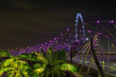 Singapore flyer arka plan üzerinde DNA Köprüsü köprü
