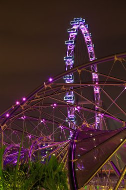 Singapore flyer arka plan üzerinde DNA Köprüsü köprü