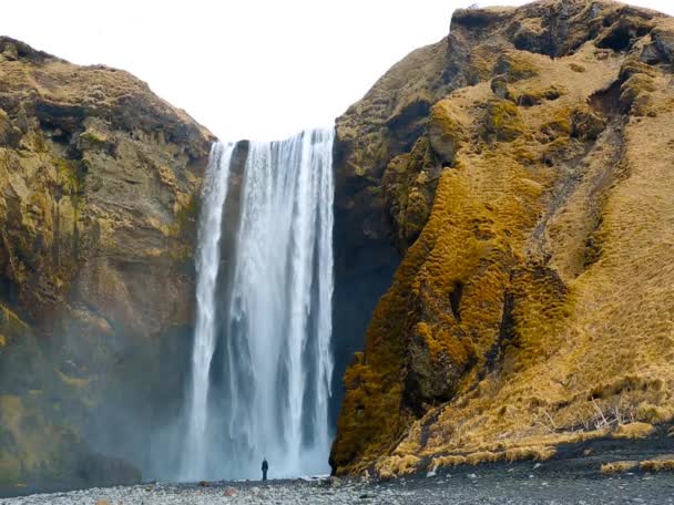 Skogafoss vattenfall i islandet — Stockvideo