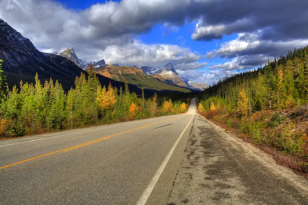 Icefields Parkway — Foto Stock