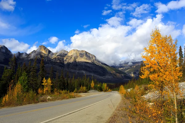 Icefields parkway — Stok Foto