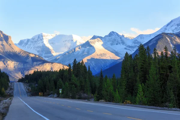 Icefields parkway — Stok Foto