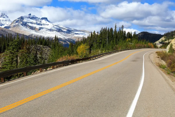 Icefields parkway — Stock Photo, Image